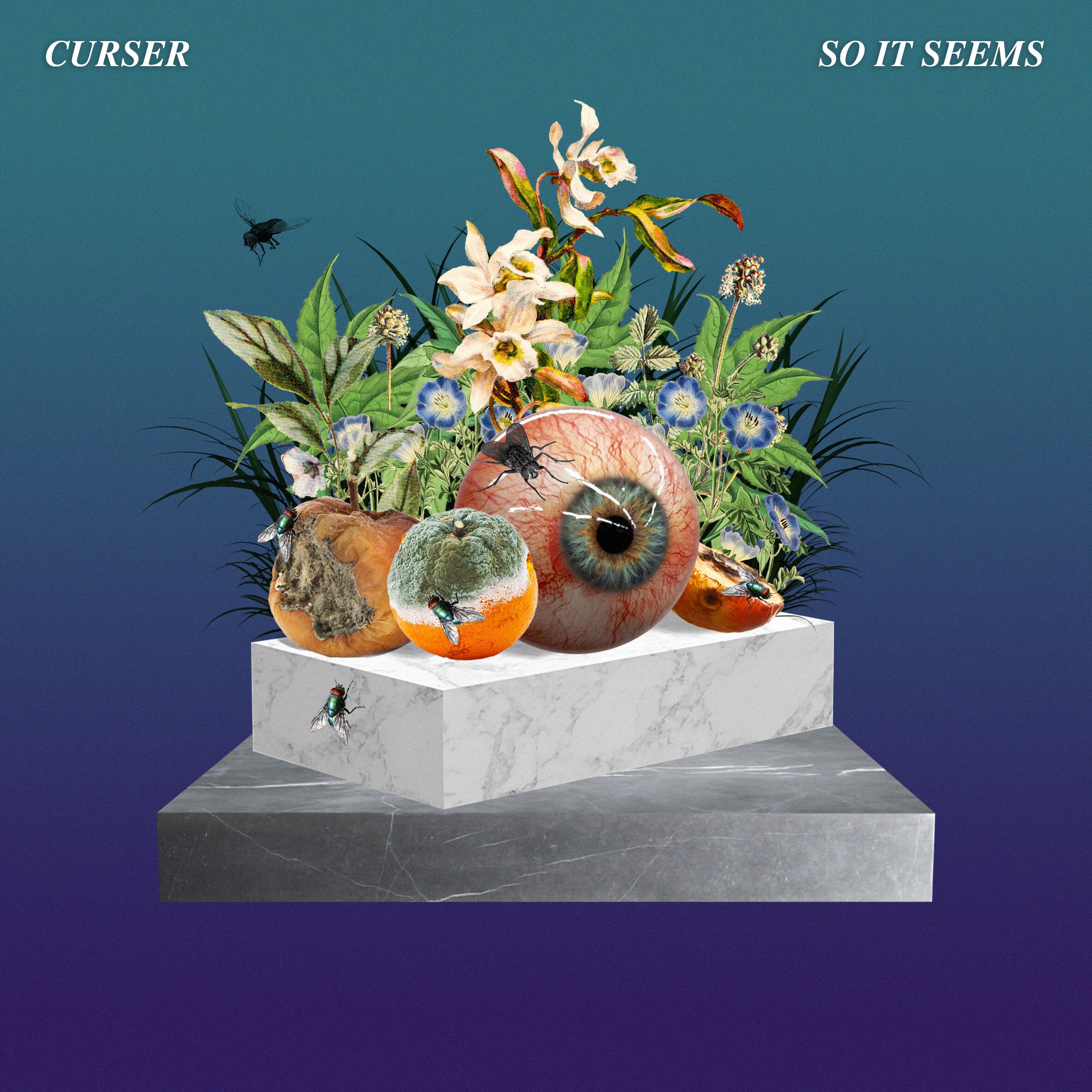 So it seems by curser album sleeve